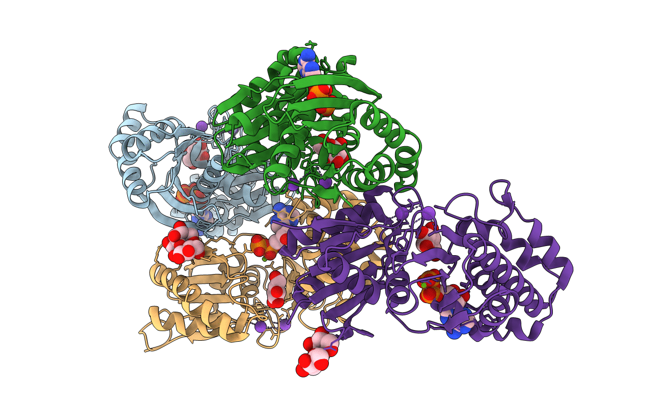 4BGA image