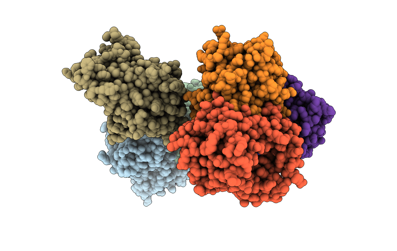 4BGI image