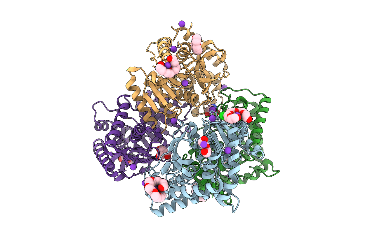 4BGU image