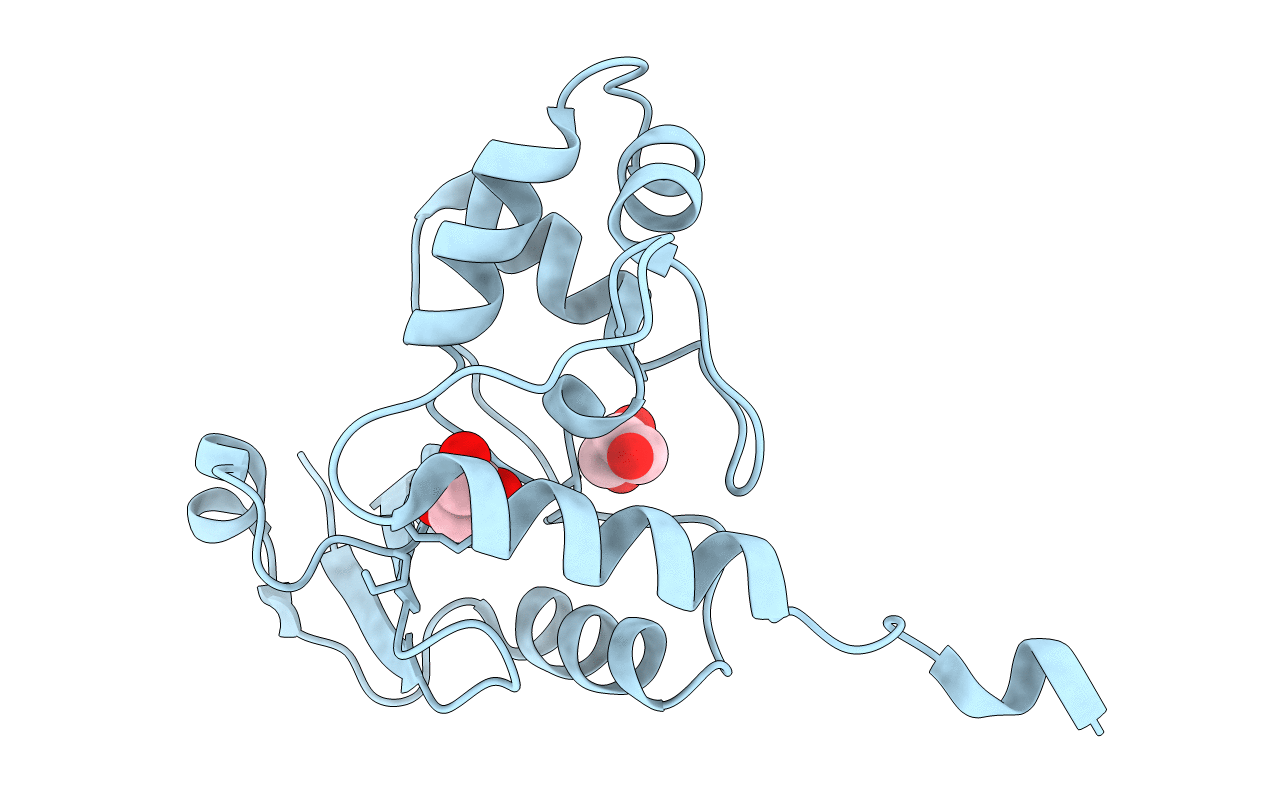 4BHB image