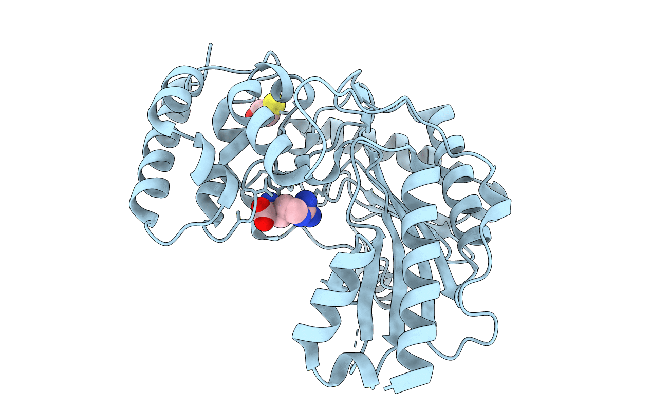 4BHL image