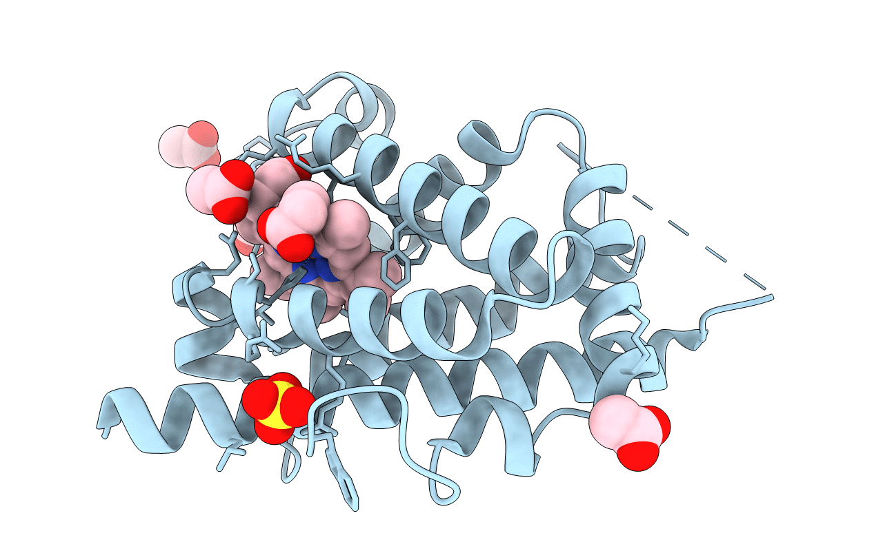 4BJA image