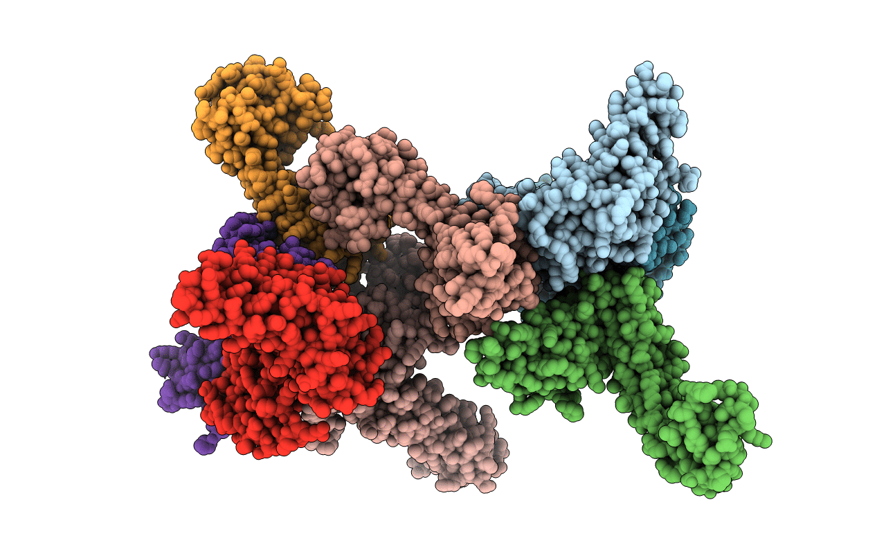 4BJN image
