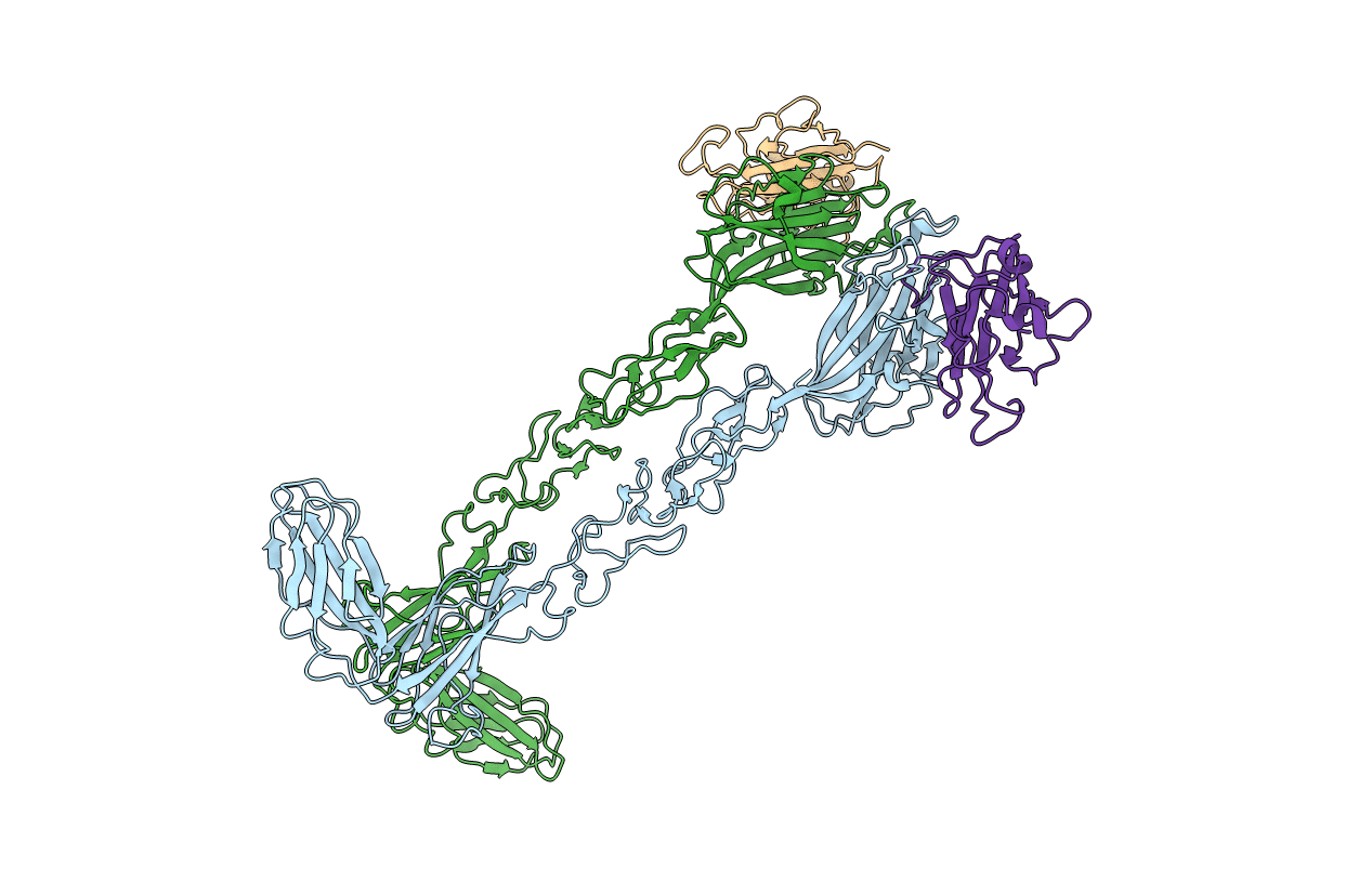 4BKF image