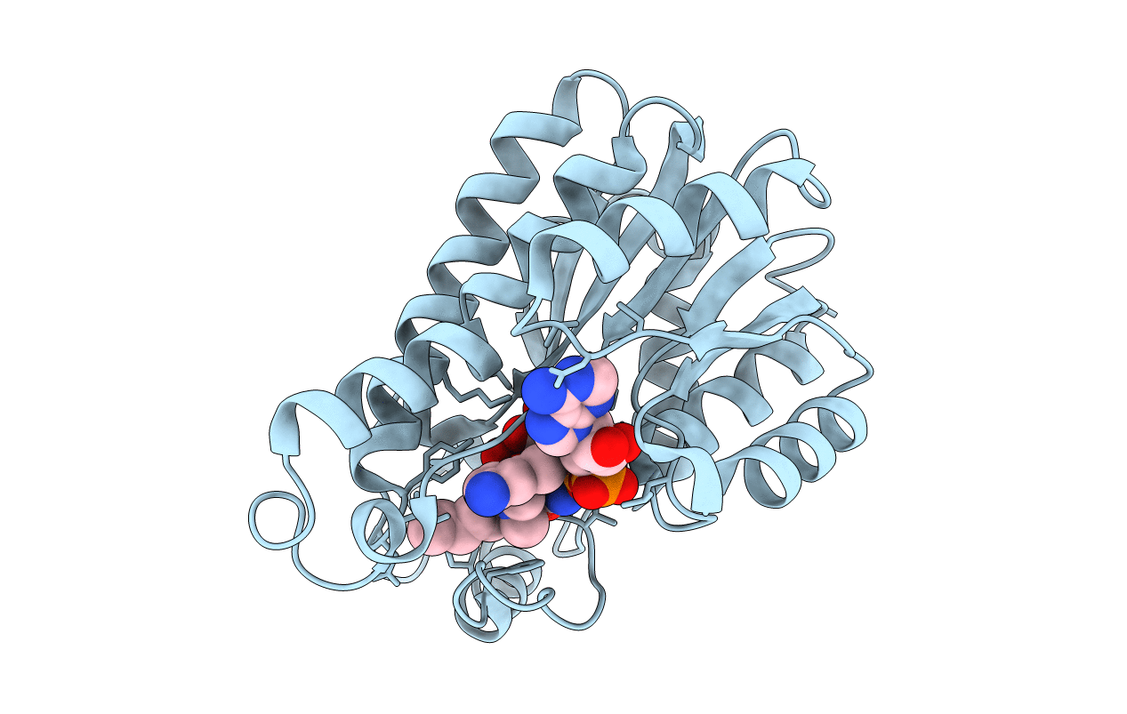 4BKU image