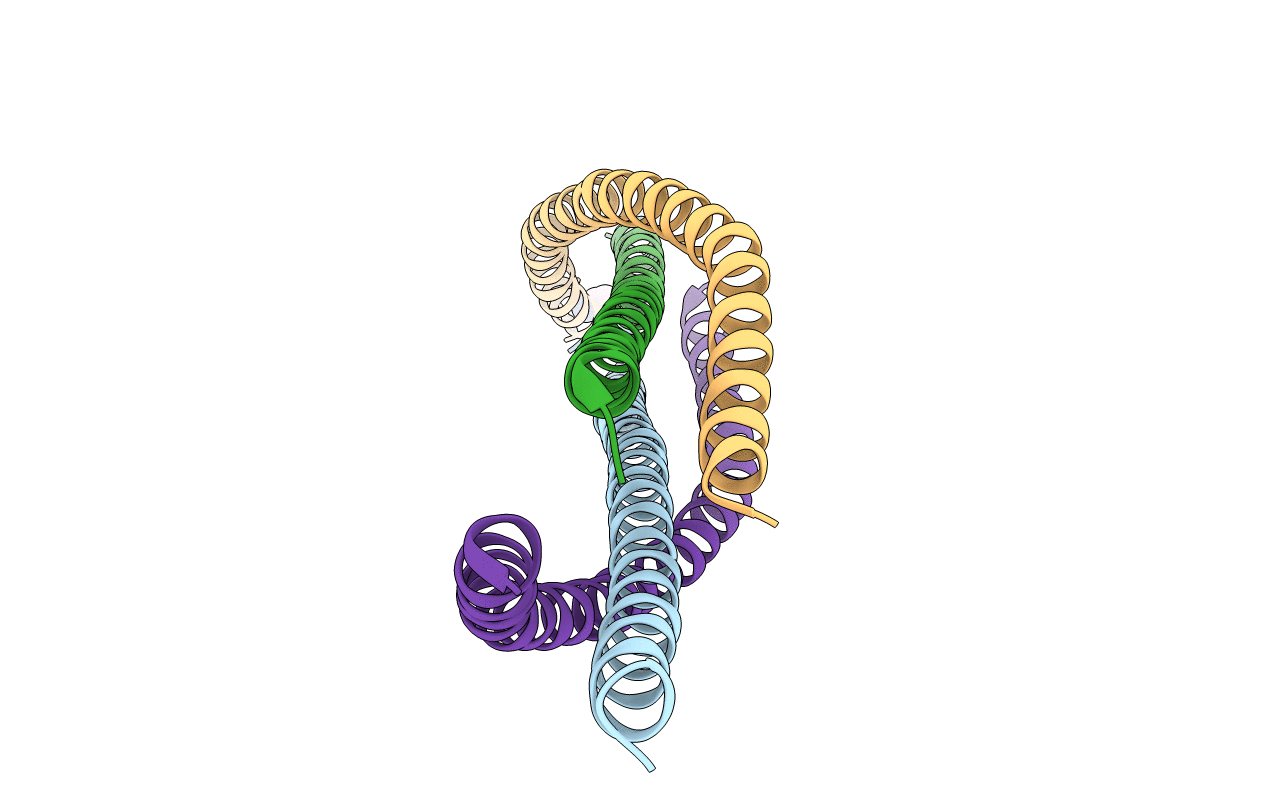 4BL6 image