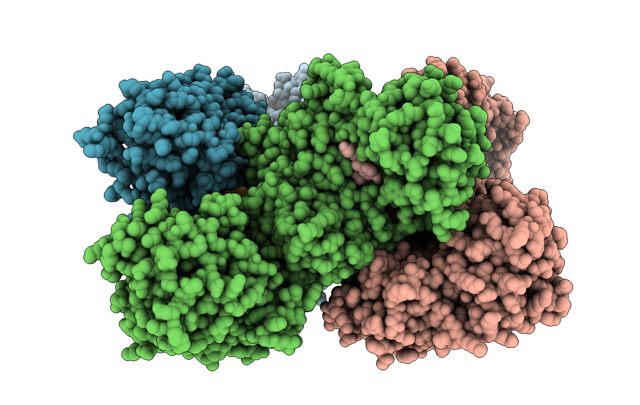 4BLB image