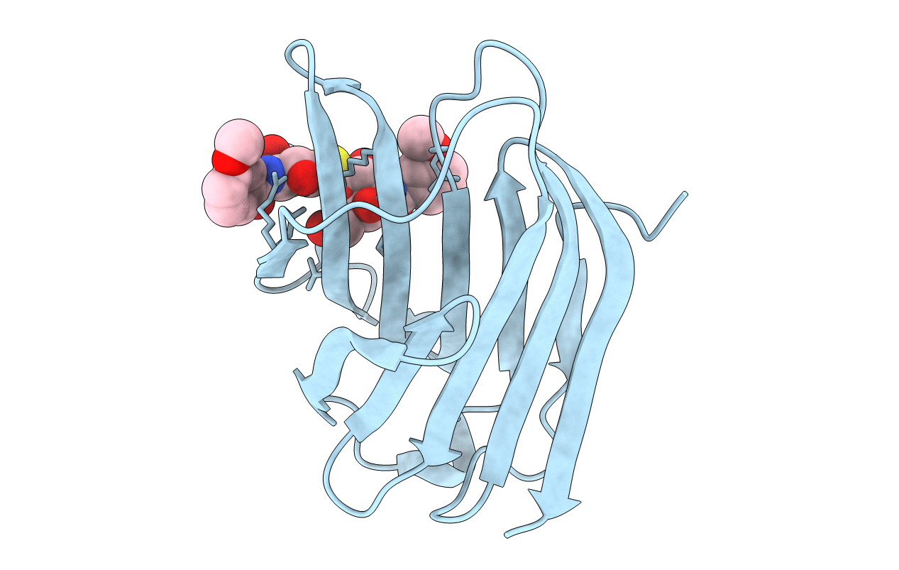 4BLJ image