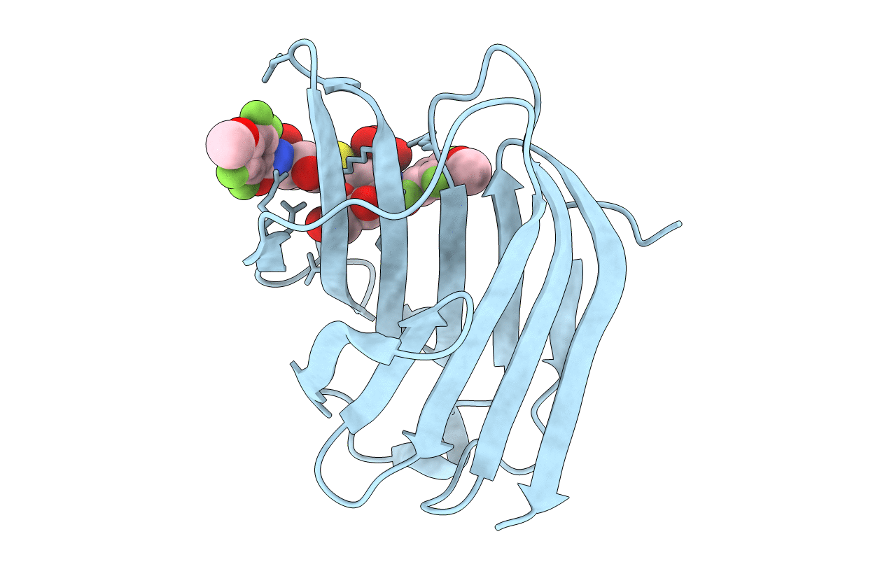 4BM8 image