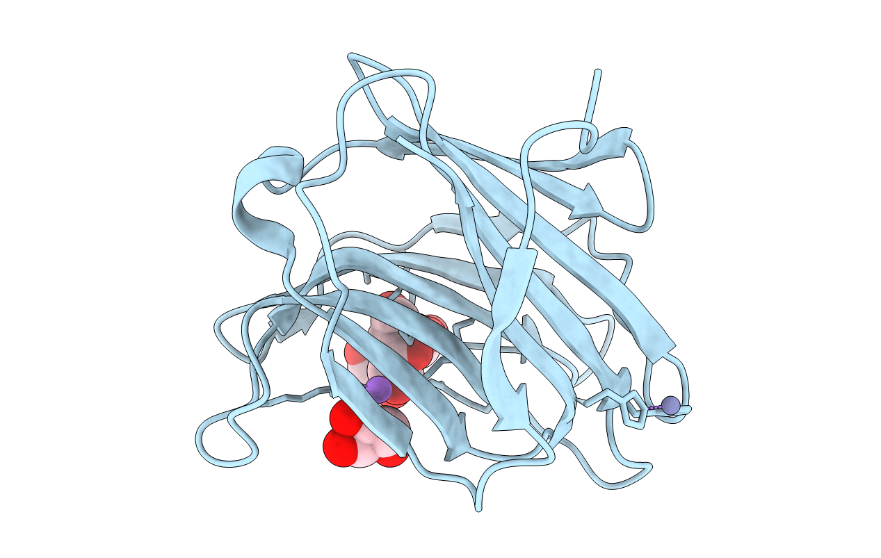 4BMB image