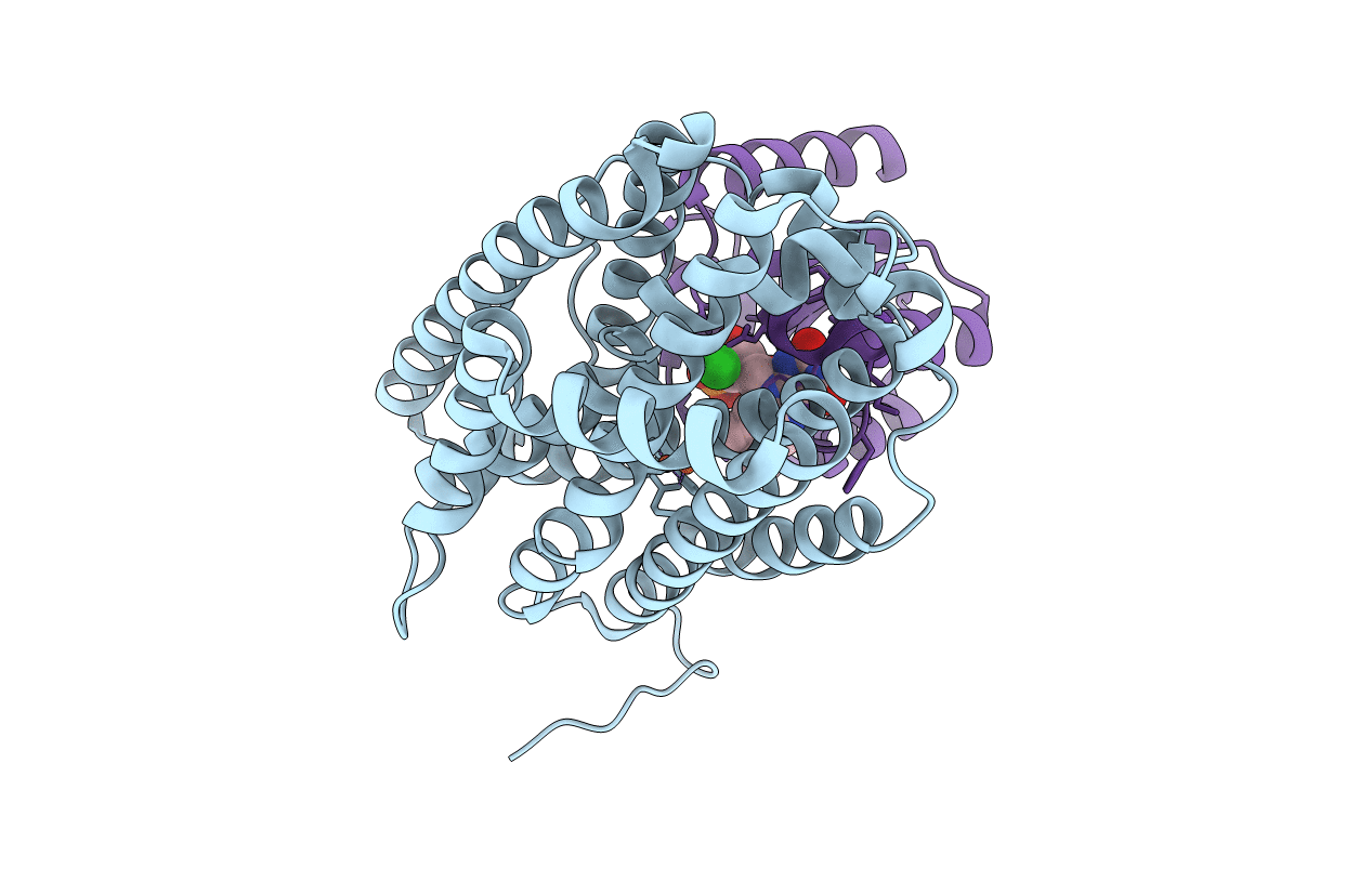 4BMP image