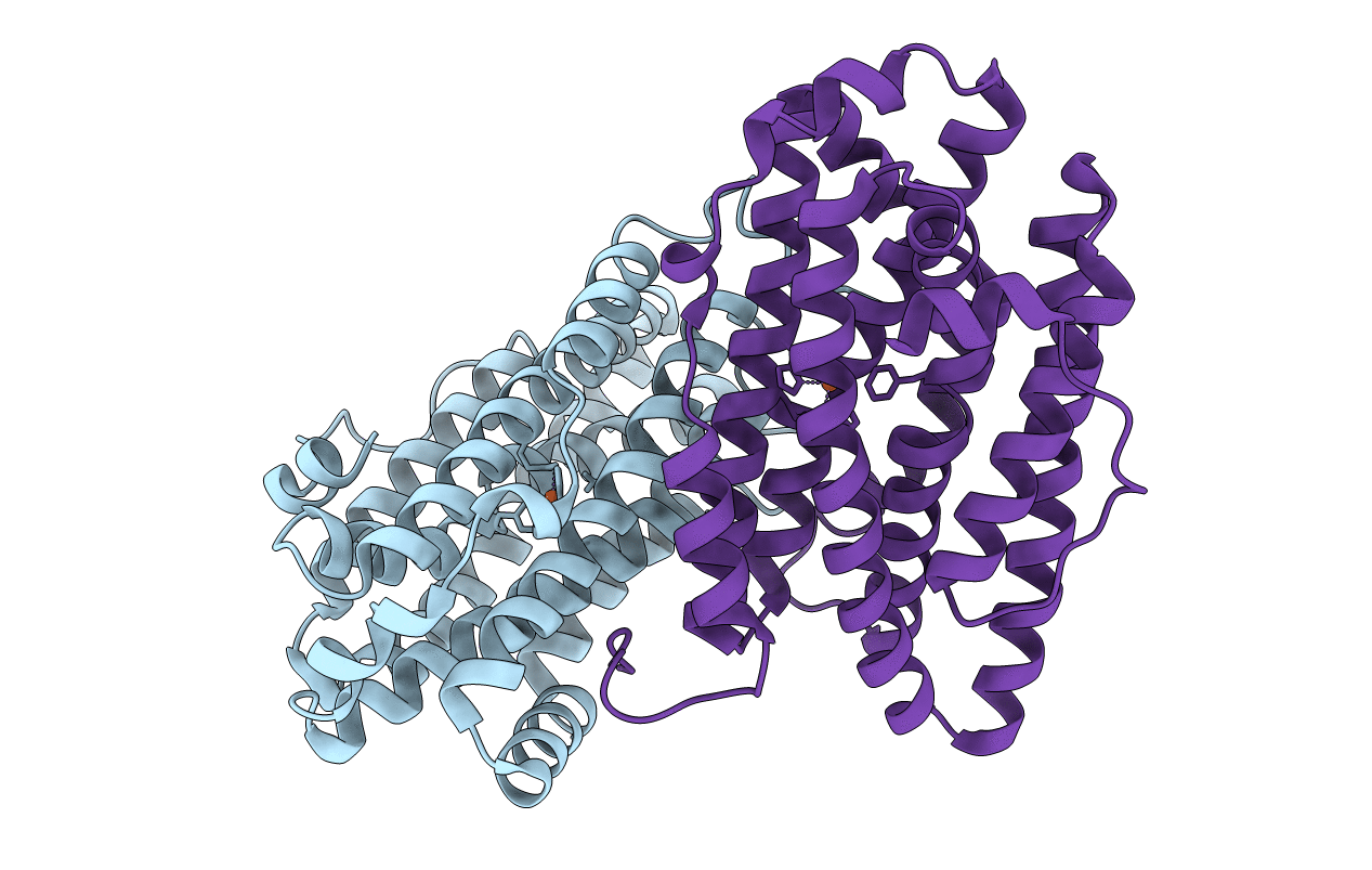 4BMR image