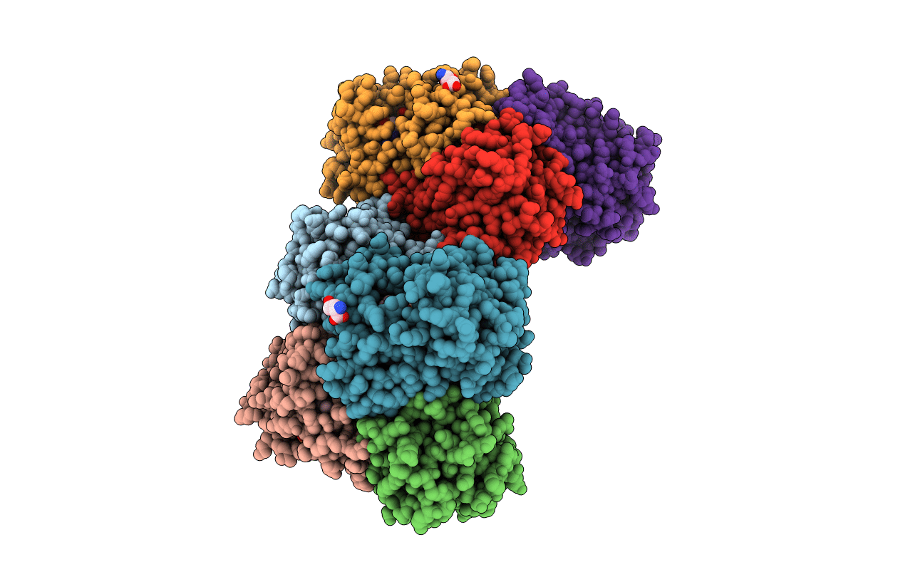 4BNI image