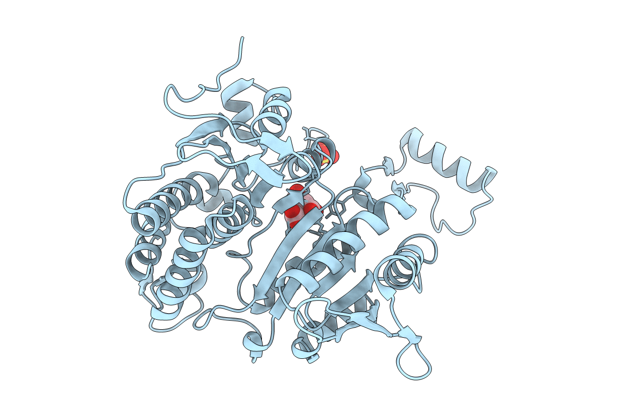4BNP image