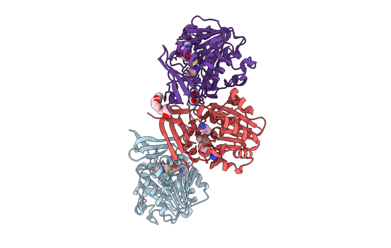 4BP1 image