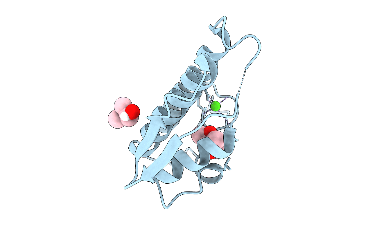 4BP2 image