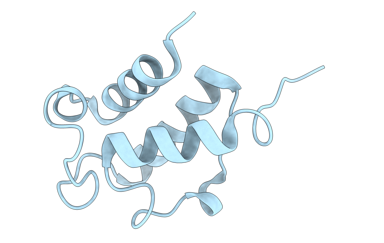 4BPF image