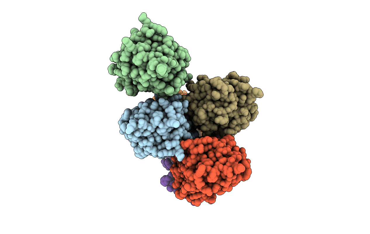 4BPV image