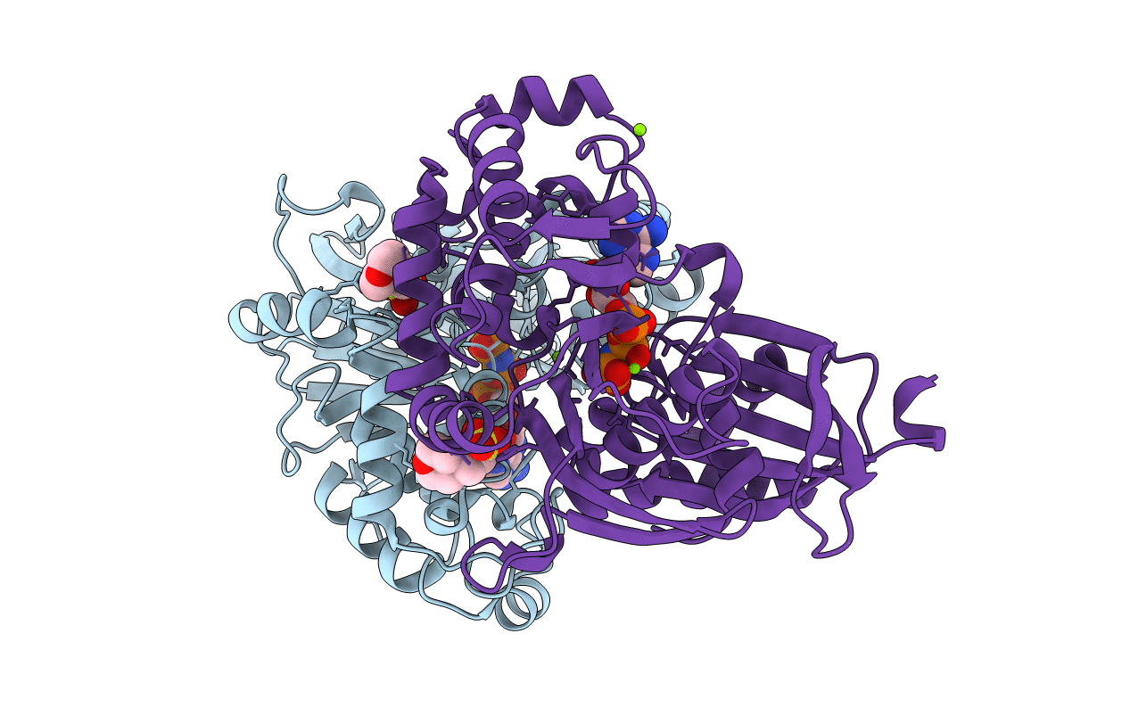 4BRD image