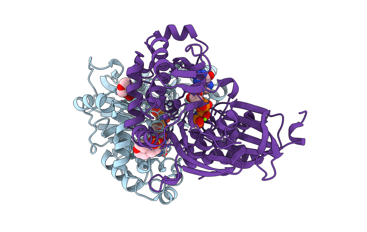 4BRG image
