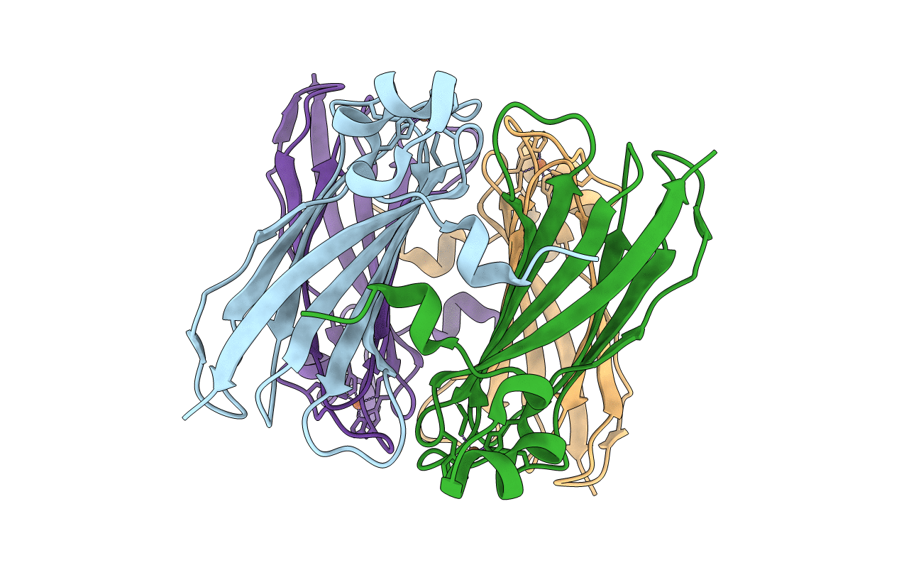 4BRV image