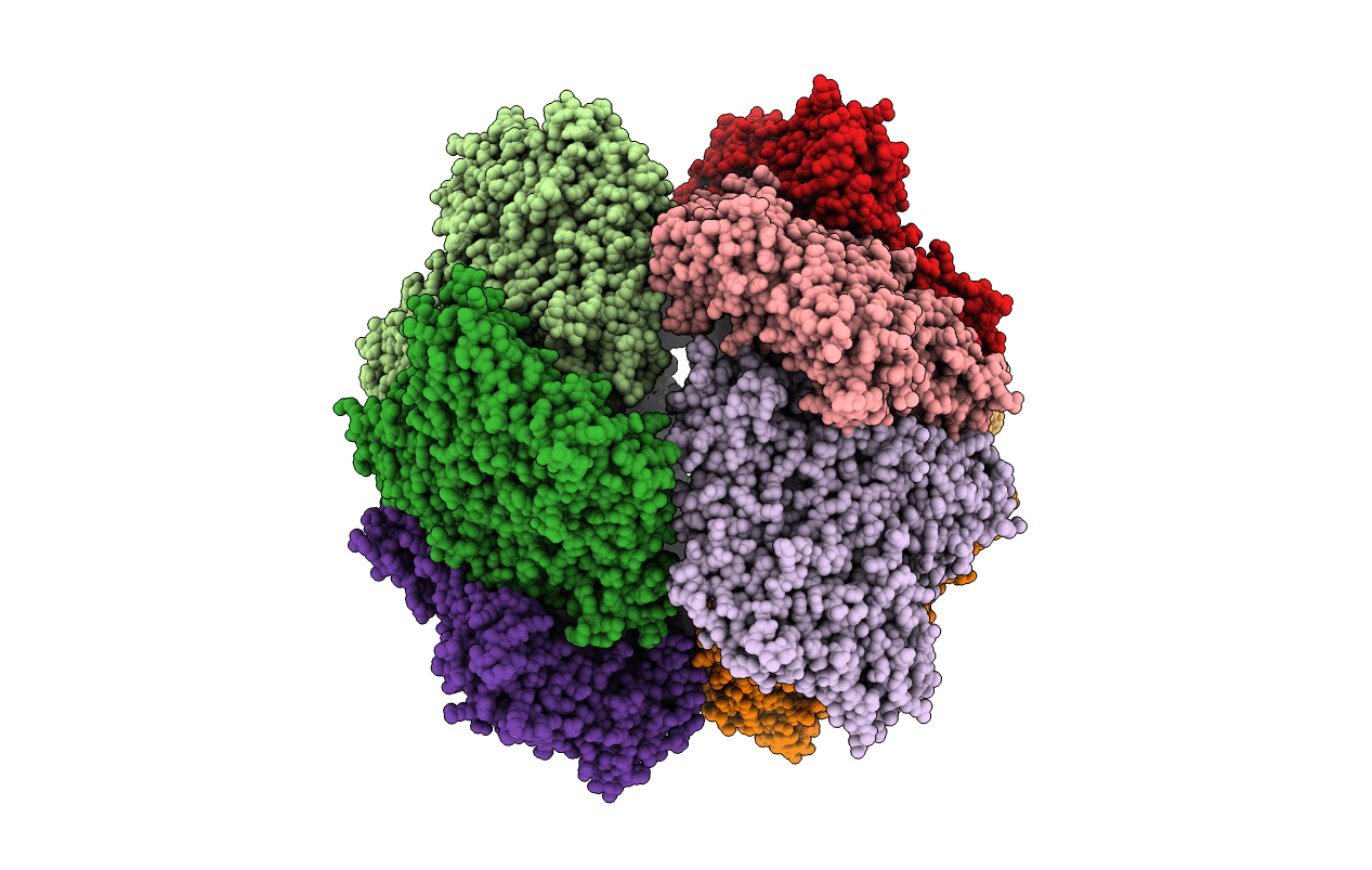 4BTP image
