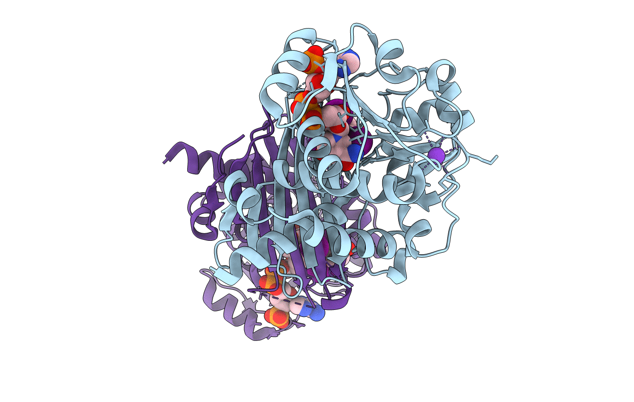 4BVA image