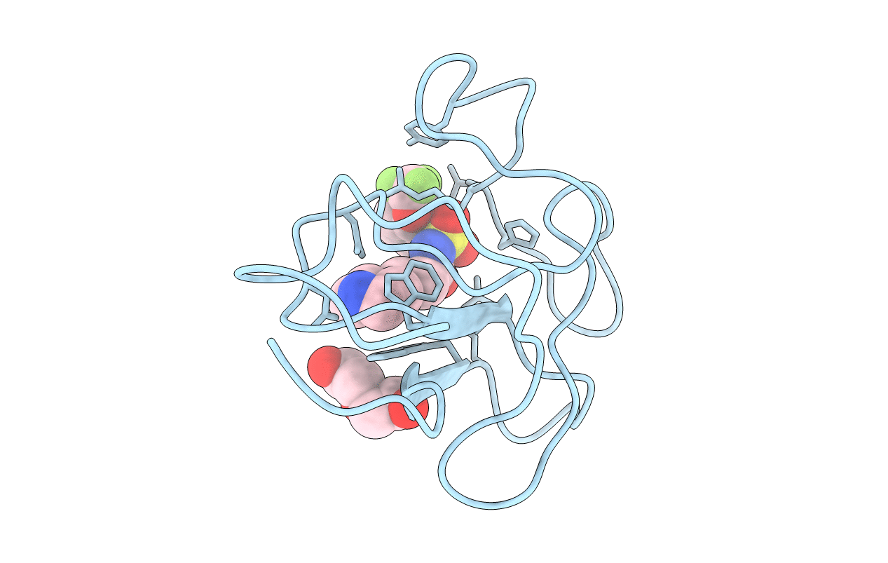 4BVC image