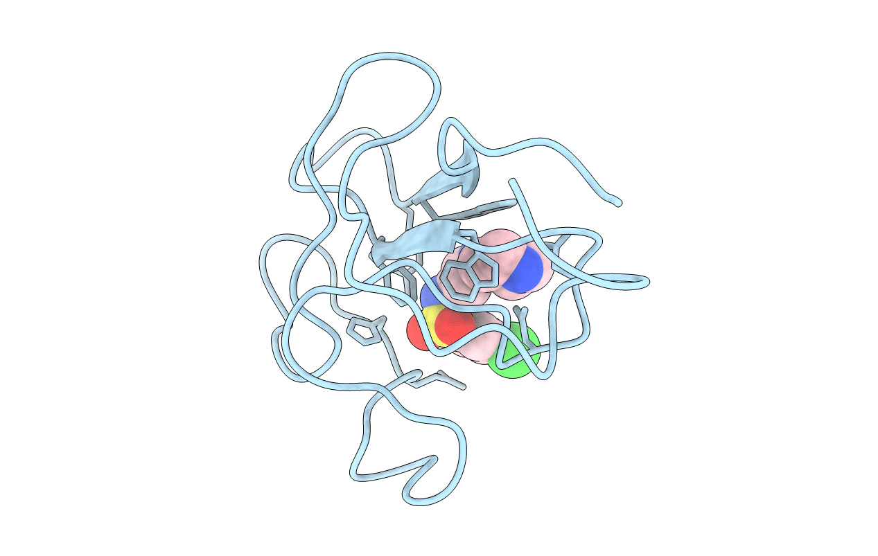 4BVD image