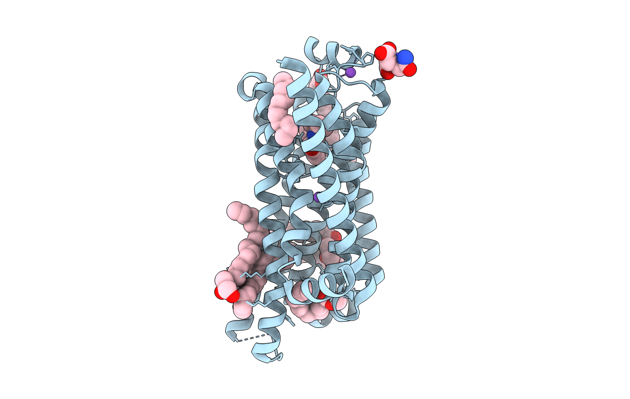 4BVN image
