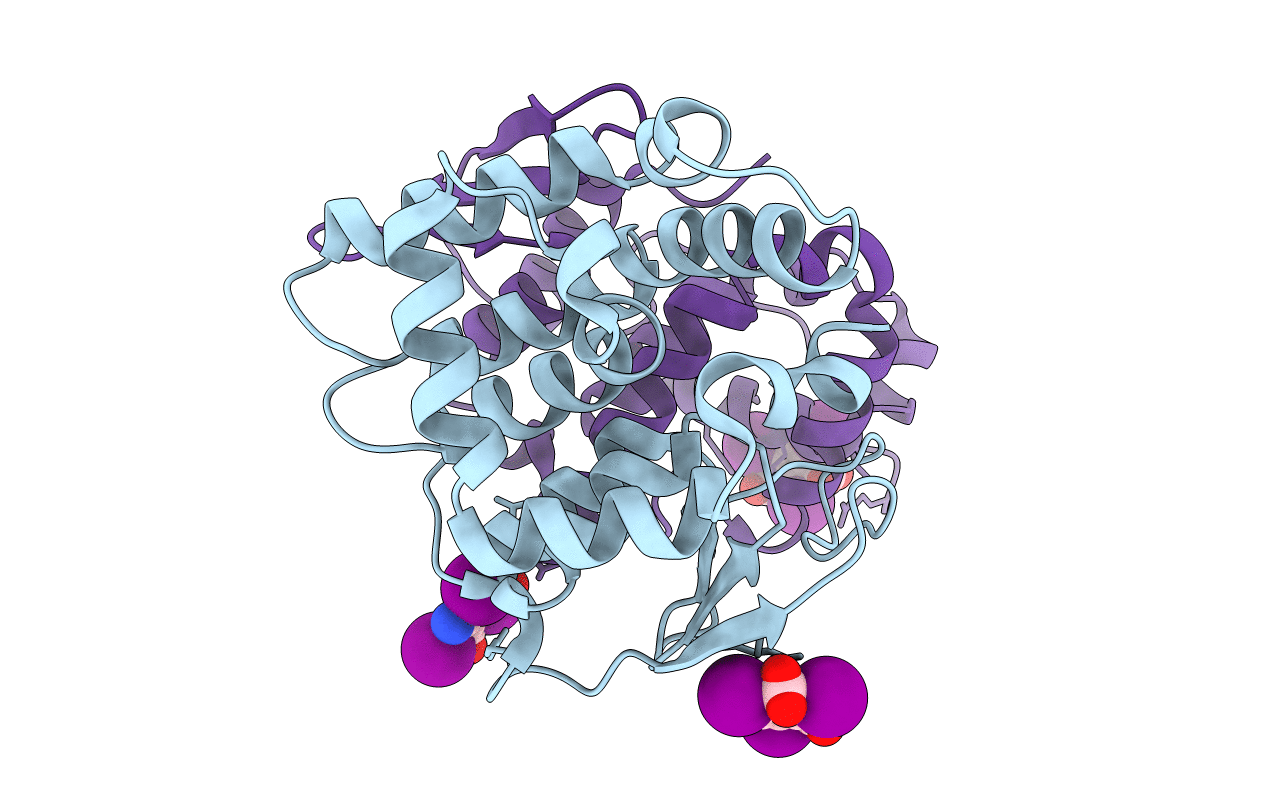 4BVX image