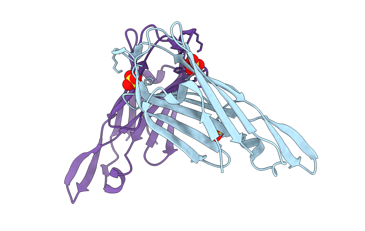 4BWO image