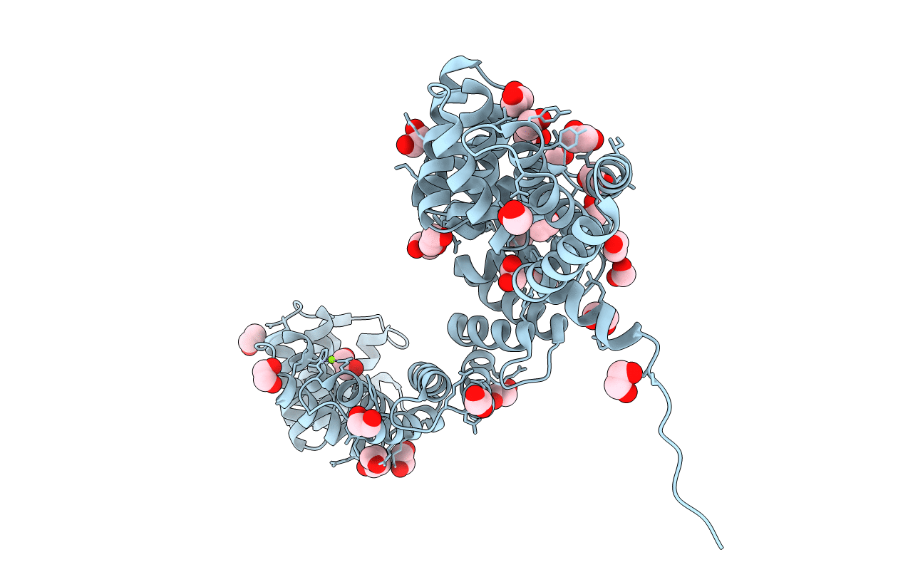 4BWR image