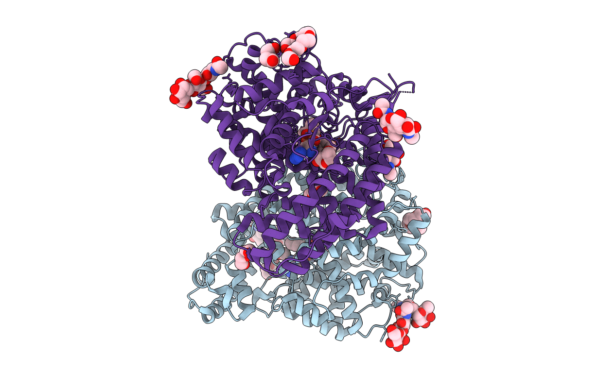 4BXK image