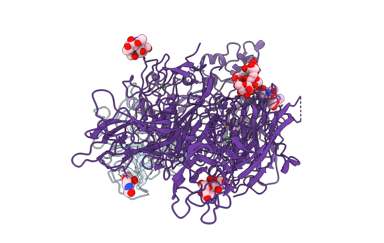 4BXS image