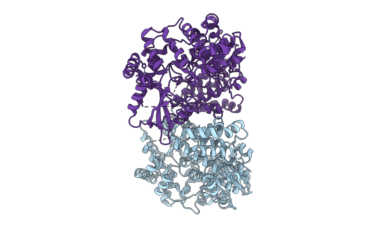 4C11 image