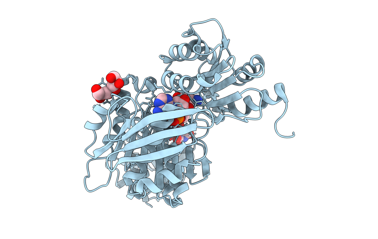 4C12 image