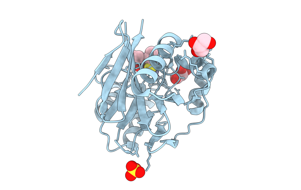 4C1C image