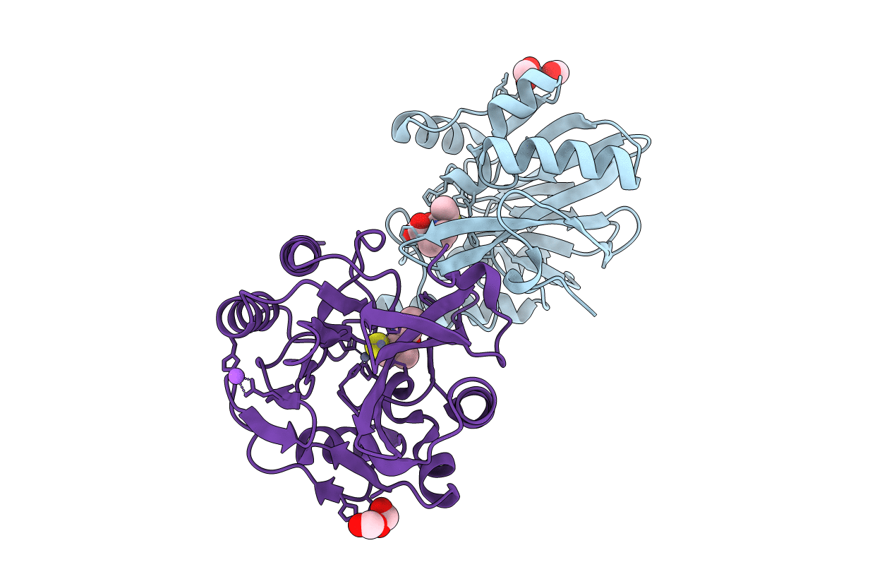 4C1D image