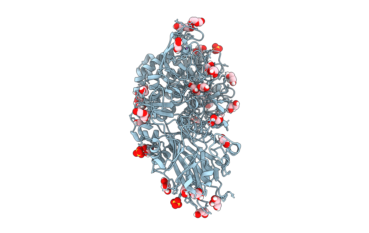 4C1O image