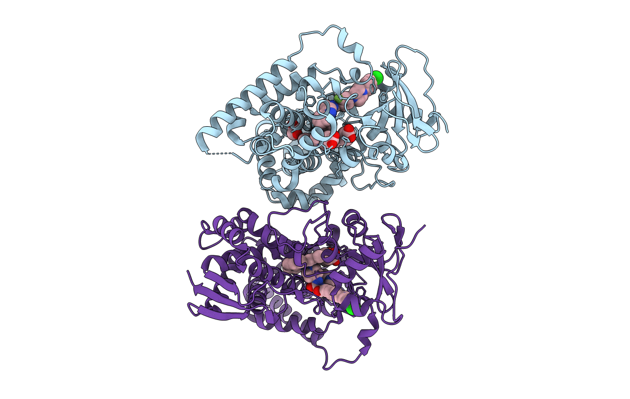 4C28 image