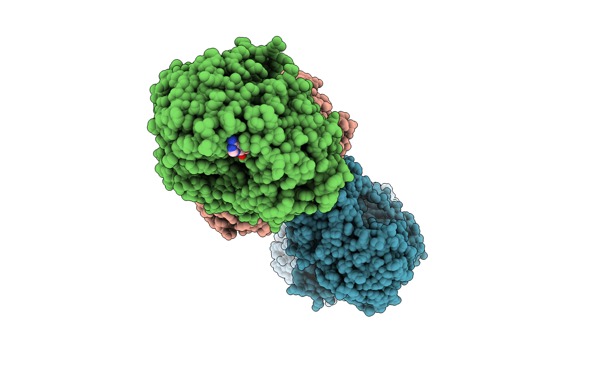 4C30 image