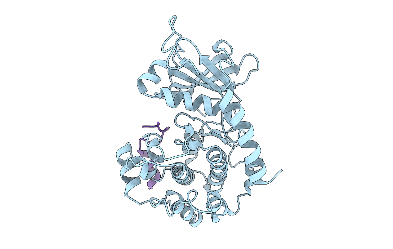 4C33 image
