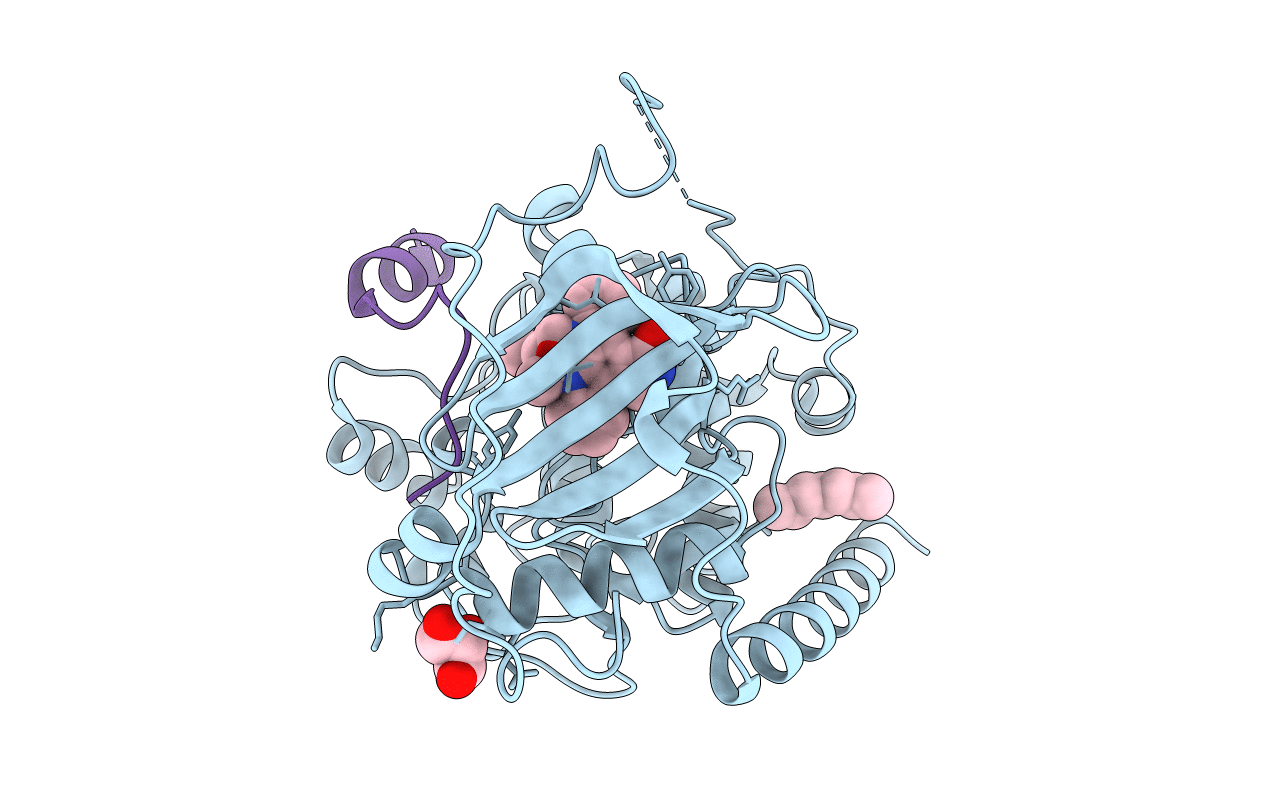 4C34 image