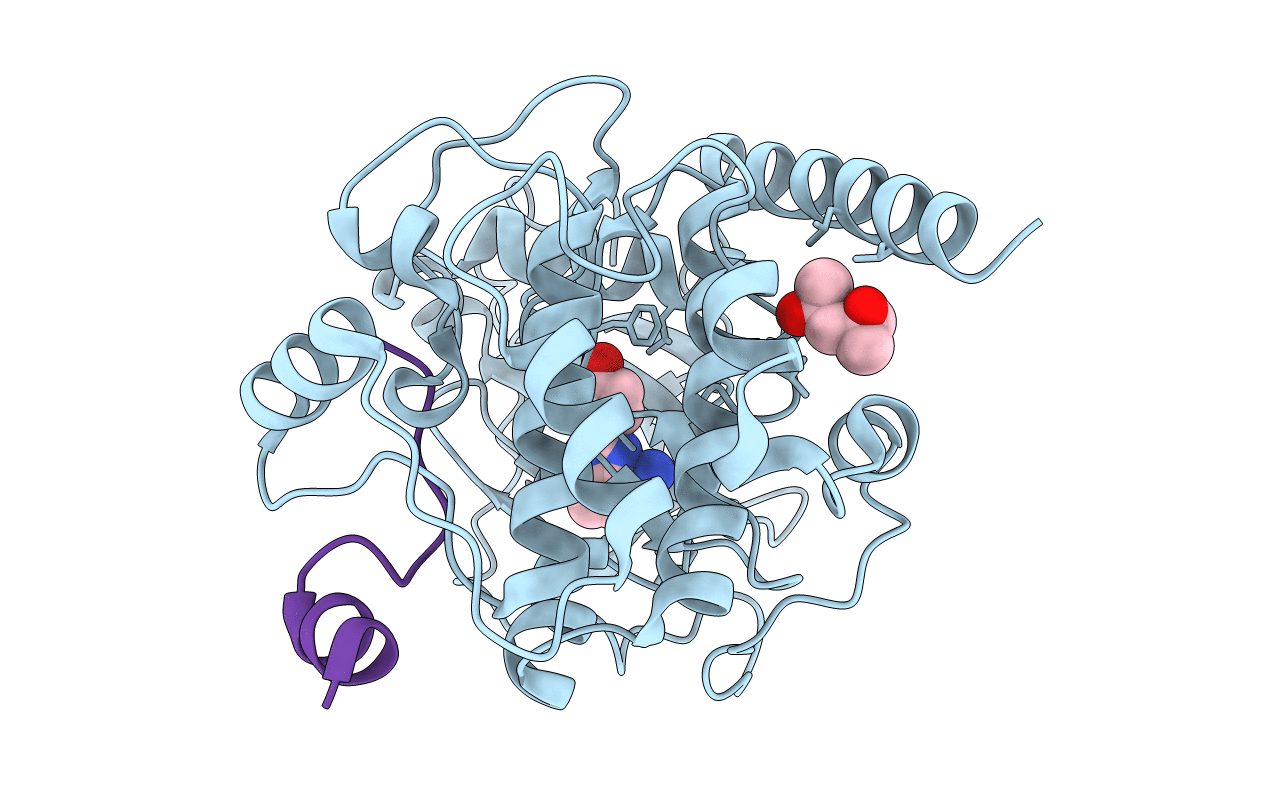 4C35 image