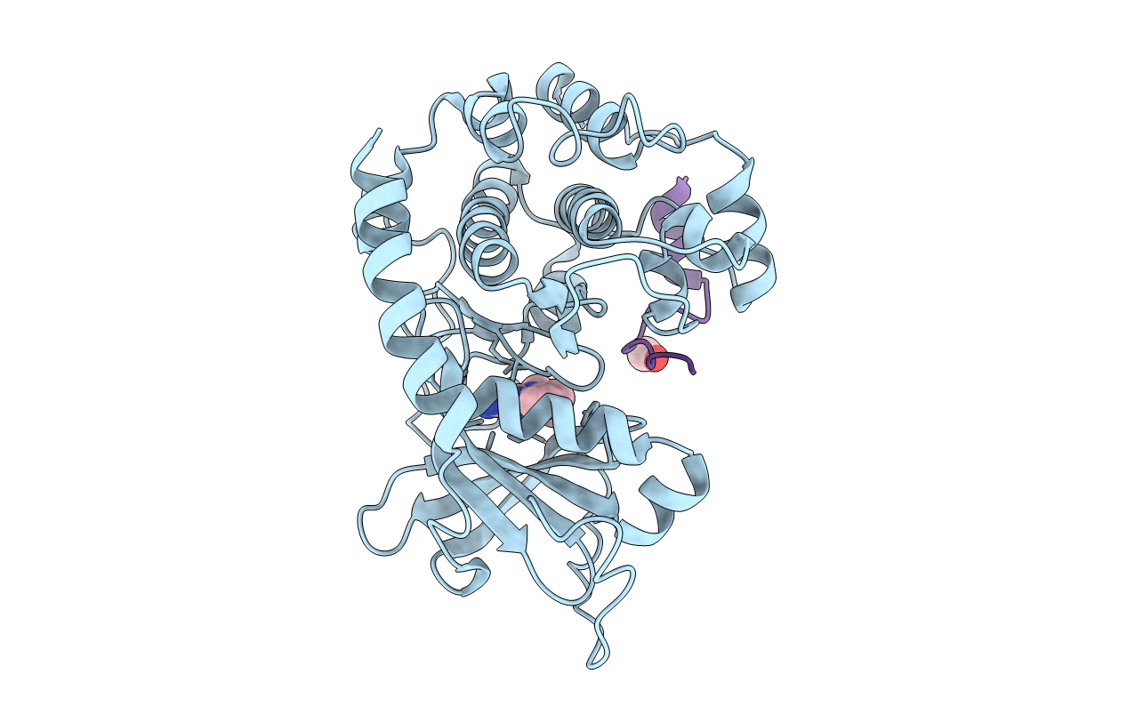 4C36 image