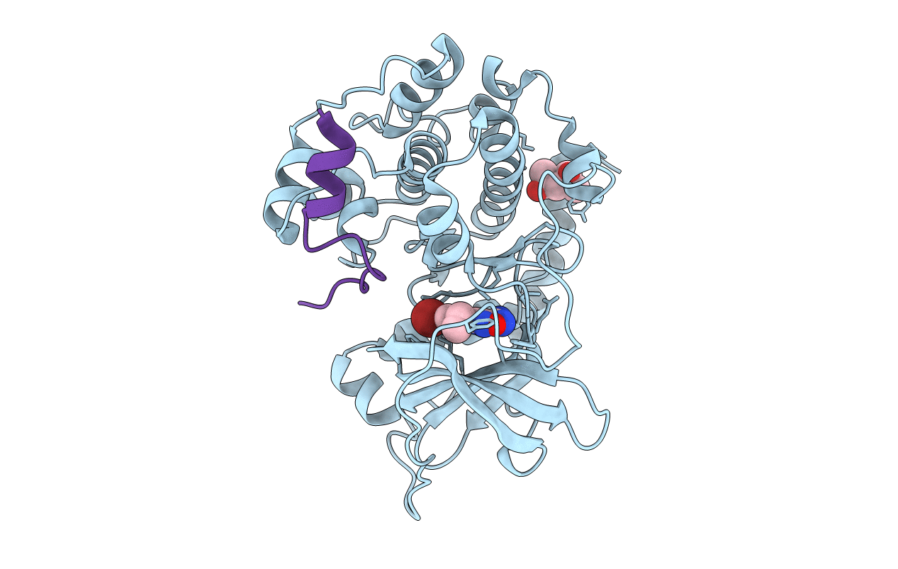 4C37 image
