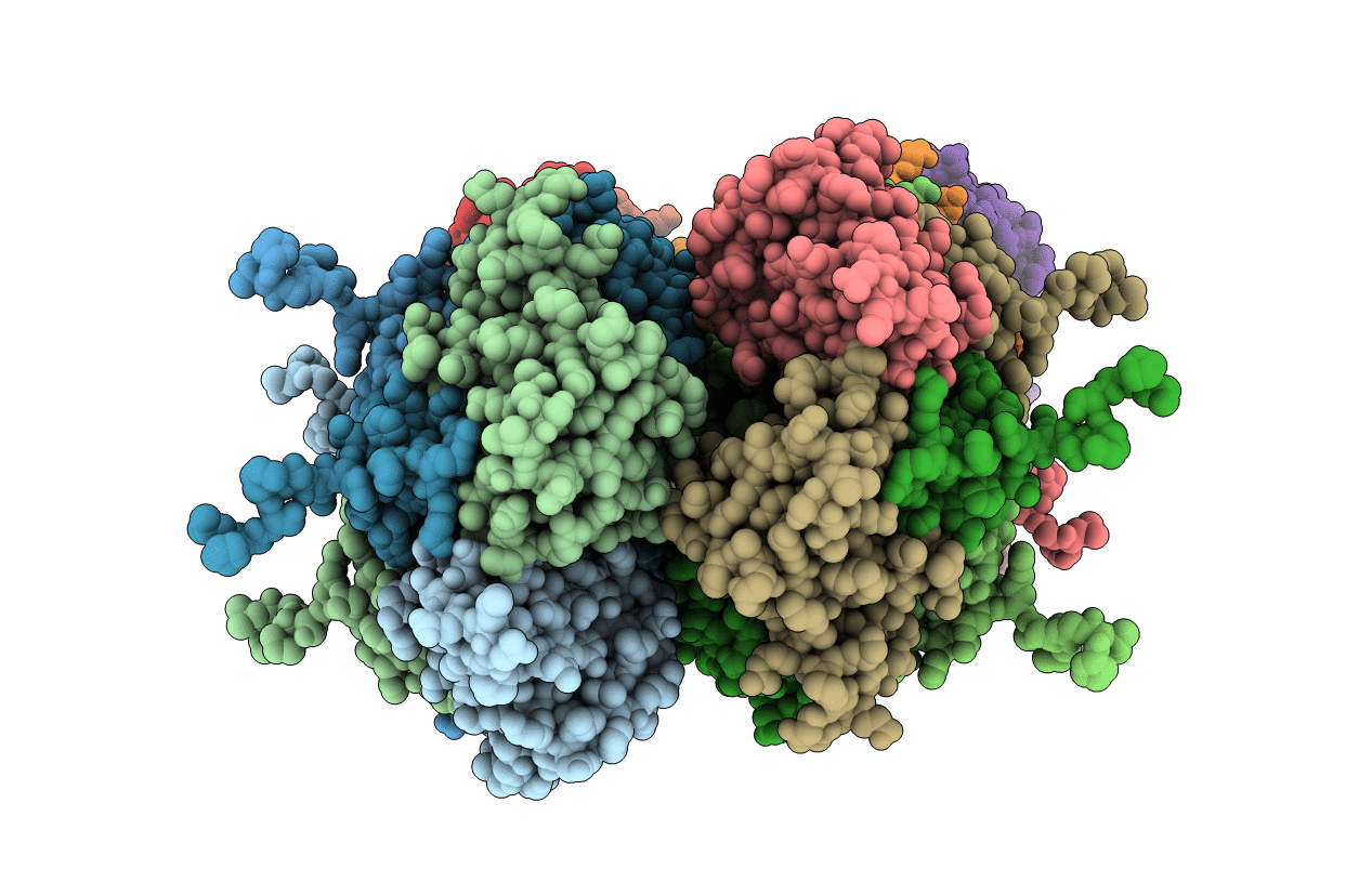 4C3B image