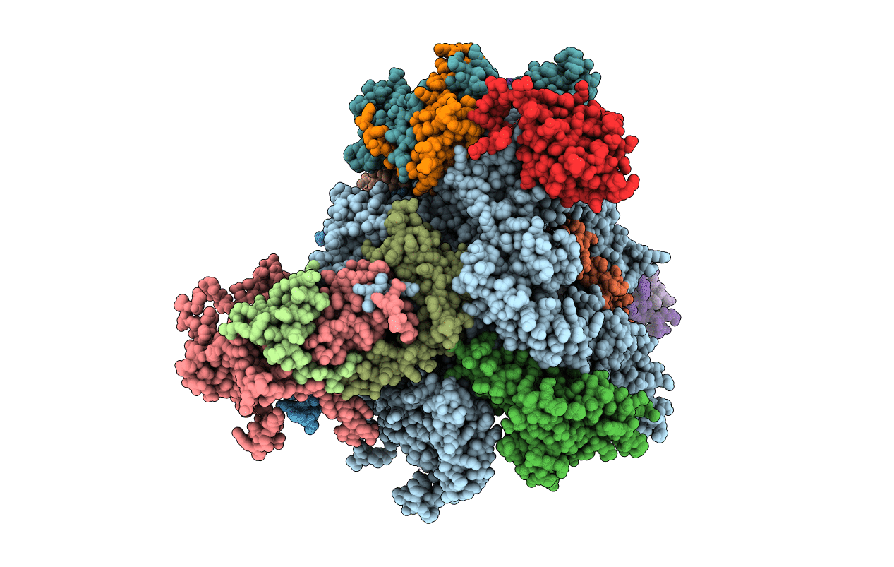 4C3H image