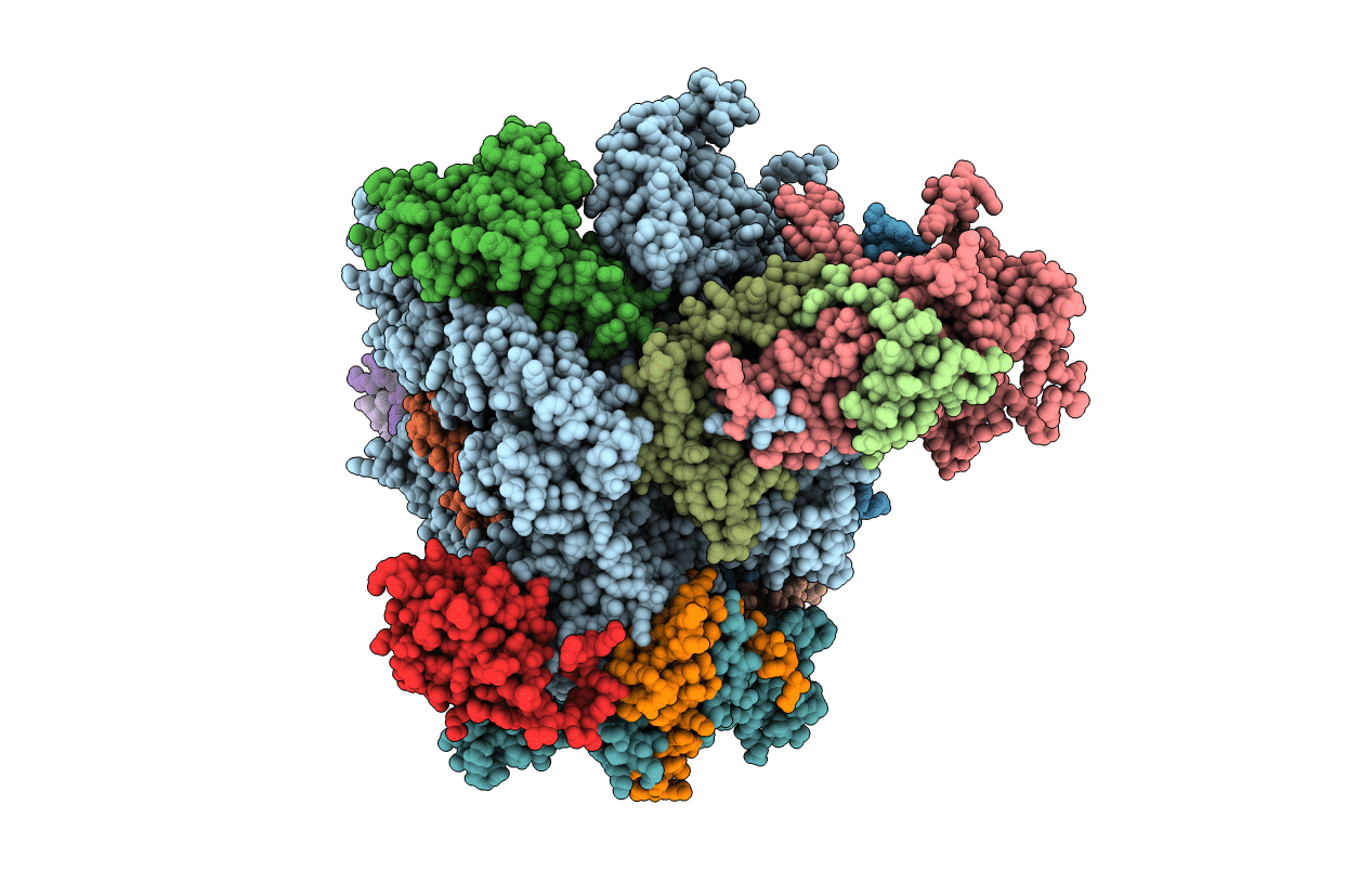 4C3J image